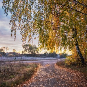 Морозное утро октября
